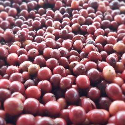 Một số tư liệu hoạt động của Minifarm 1